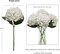 Six-Piece Hydrangea Flower Stems, Cream White Durable Stems with Fade Resistant Color, Stylish Accents for Weddings, Parties & Home Use